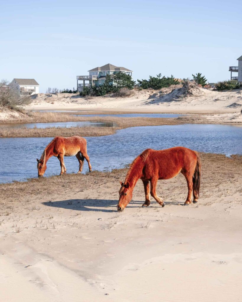 OBX NC